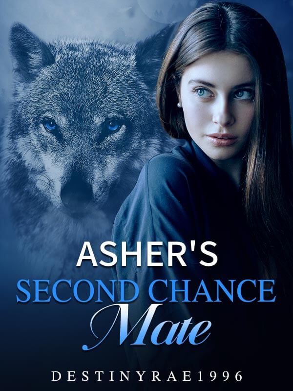 Asher's Second Chance Mate