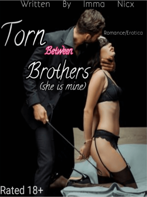 The Best Erotica Novels 2023 on Bravonovel | Bravonovel